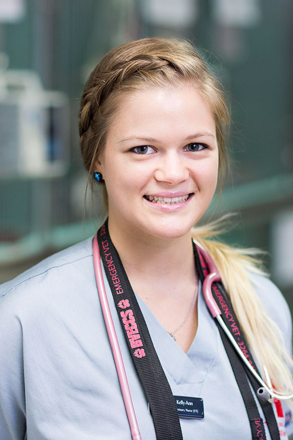 BVECCS, Experienced Vets and Vet Nurses 24 Hours For Emergencies